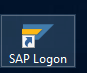 SAP Logon icon